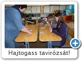 Hajtogass tavirózsát!
