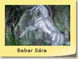 Babar Sára