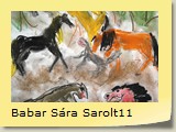 Babar Sára Sarolt11