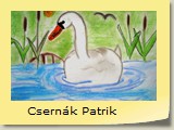 Csernák Patrik
