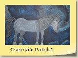 Csernák Patrik1