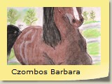 Czombos Barbara