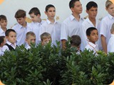 IPR képek (9)