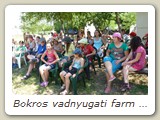 Bokros vadnyugati farm (39)
