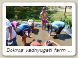 Bokros vadnyugati farm (51)