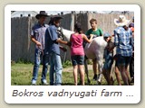 Bokros vadnyugati farm (74)