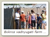 Bokros vadnyugati farm (8)