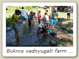 Bokros vadnyugati farm (81)