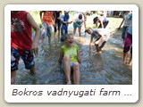 Bokros vadnyugati farm (84)