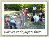 Bokros vadnyugati farm (87)