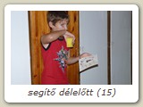 segítő délelőtt (15)