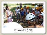 Tőserdő (10)