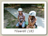 Tőserdő (18)