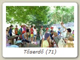 Tőserdő (71)