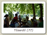 Tőserdő (77)