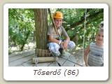 Tőserdő (86)
